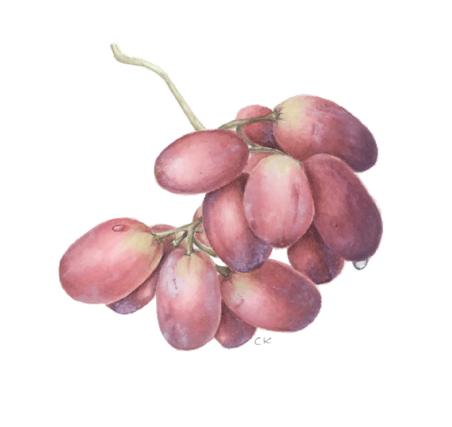 Little bunch of grapes