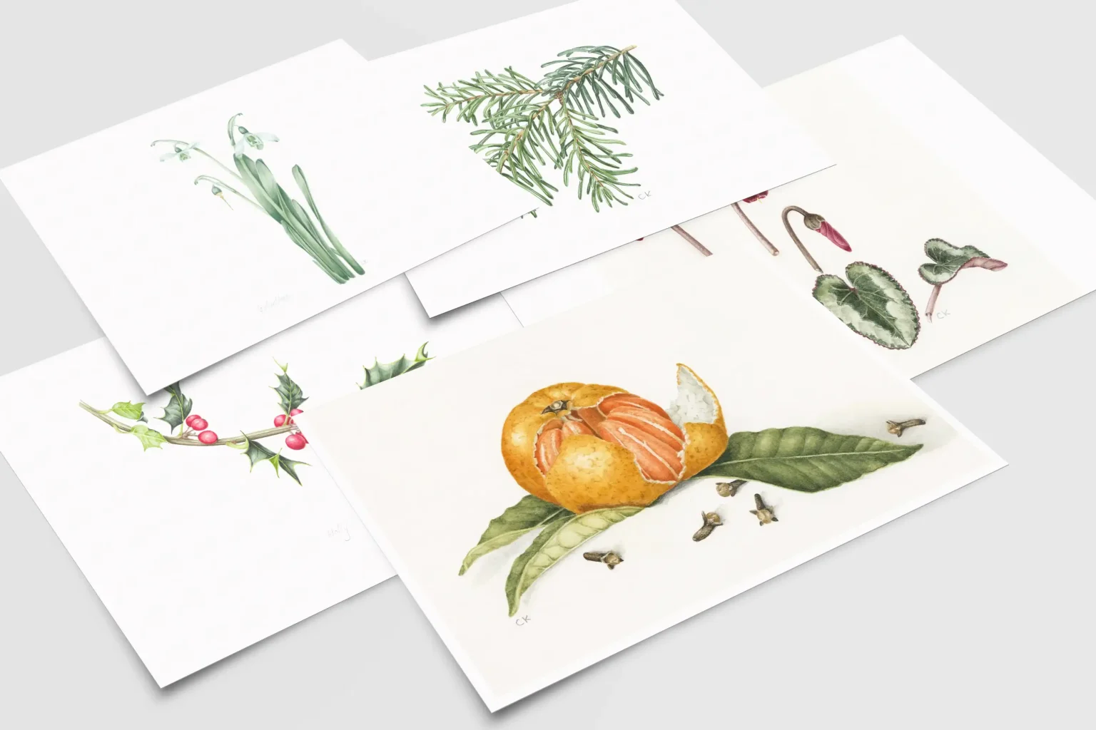 Set of 5 Cards - Winter Collection