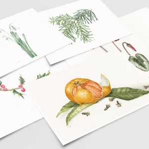 Set of 5 Cards - Winter Collection