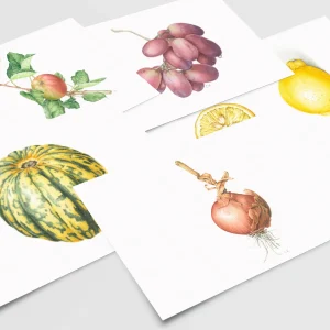 Set of 5 Cards - Fruit & Vegetables Collection