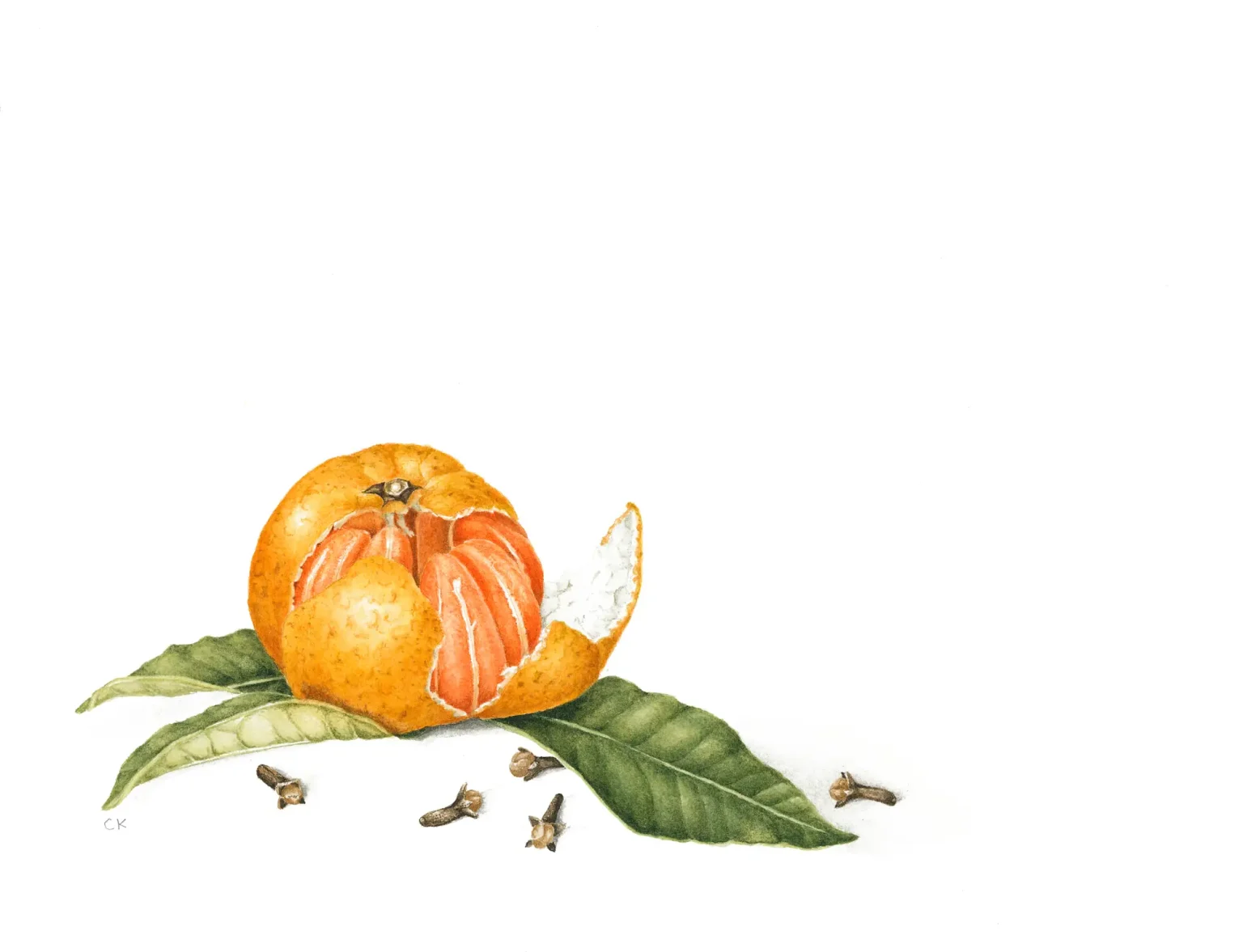 Satsuma and cloves