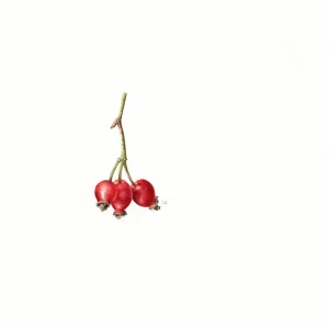 watercolour painting Sorbus